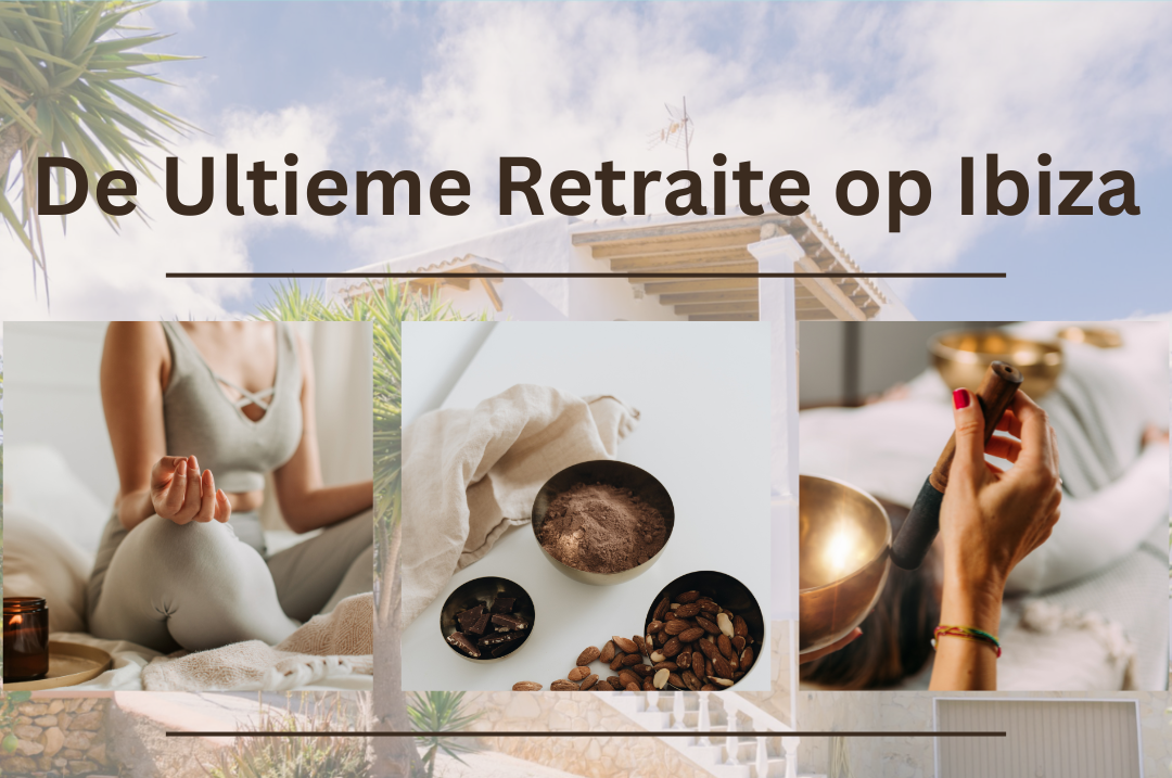 De Ultieme Retraite - 